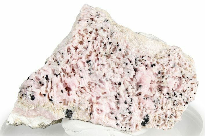 Light Pink Rhodochrosite with Quartz - Peru #358953